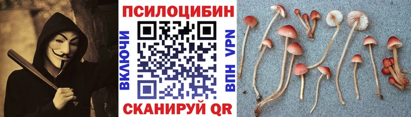 хочу наркоту  Алатырь  Галлюциногенные грибы прущие грибы 
