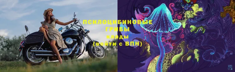 купить наркоту  Алатырь  Галлюциногенные грибы ЛСД 