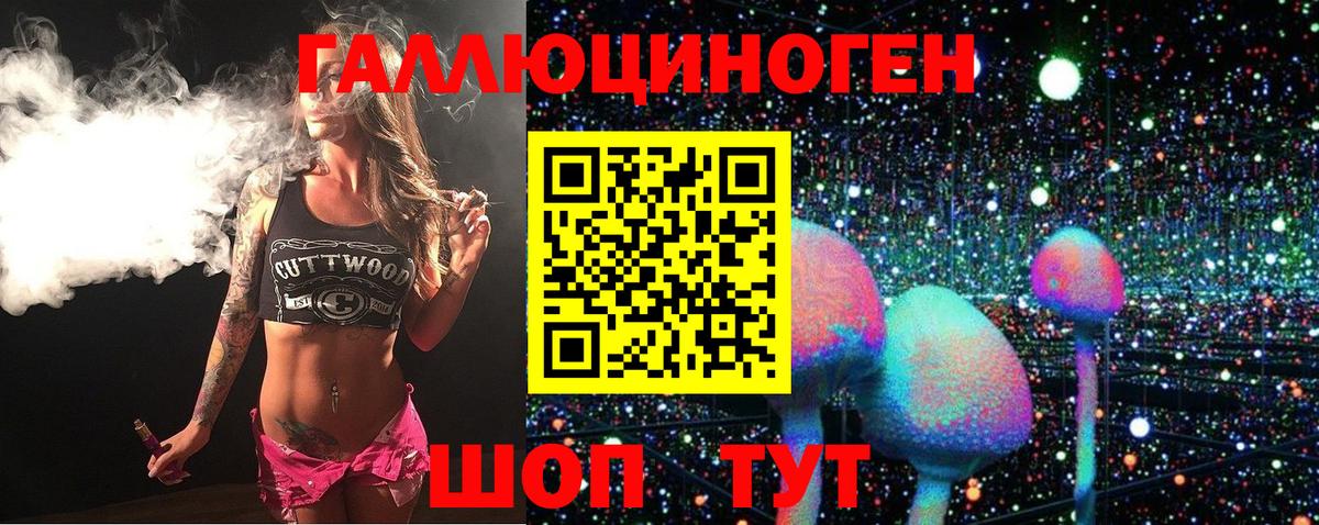 Галлюциногенные грибы Psilocybine cubensis  Алатырь 