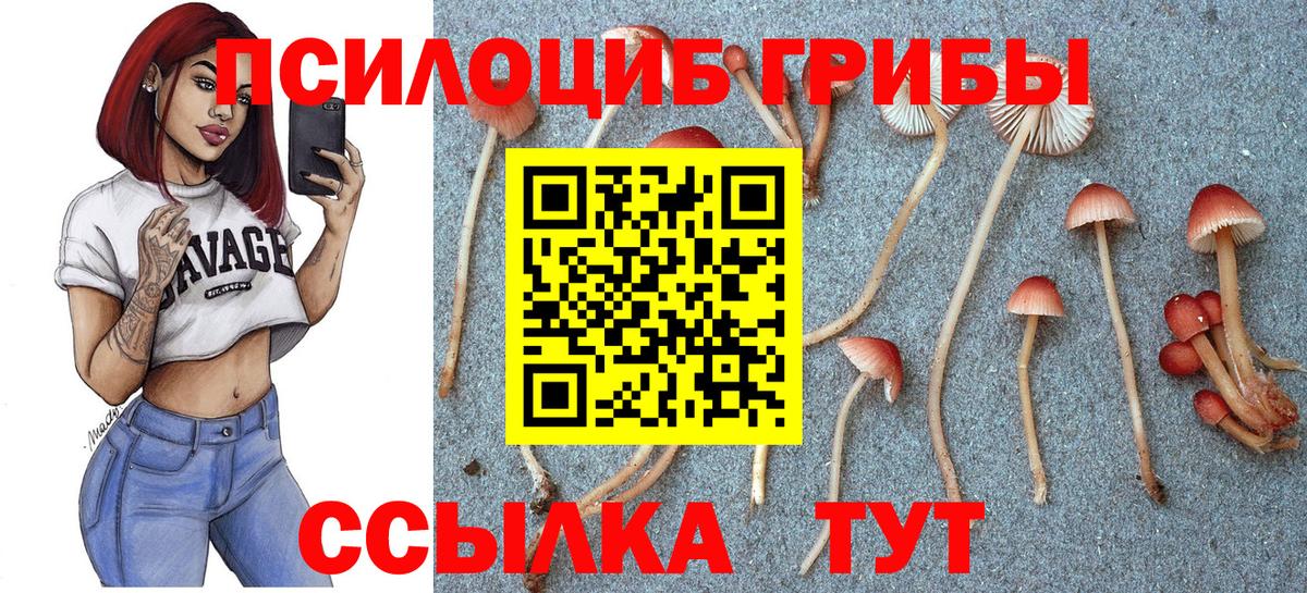 Псилоцибиновые грибы ЛСД Алатырь