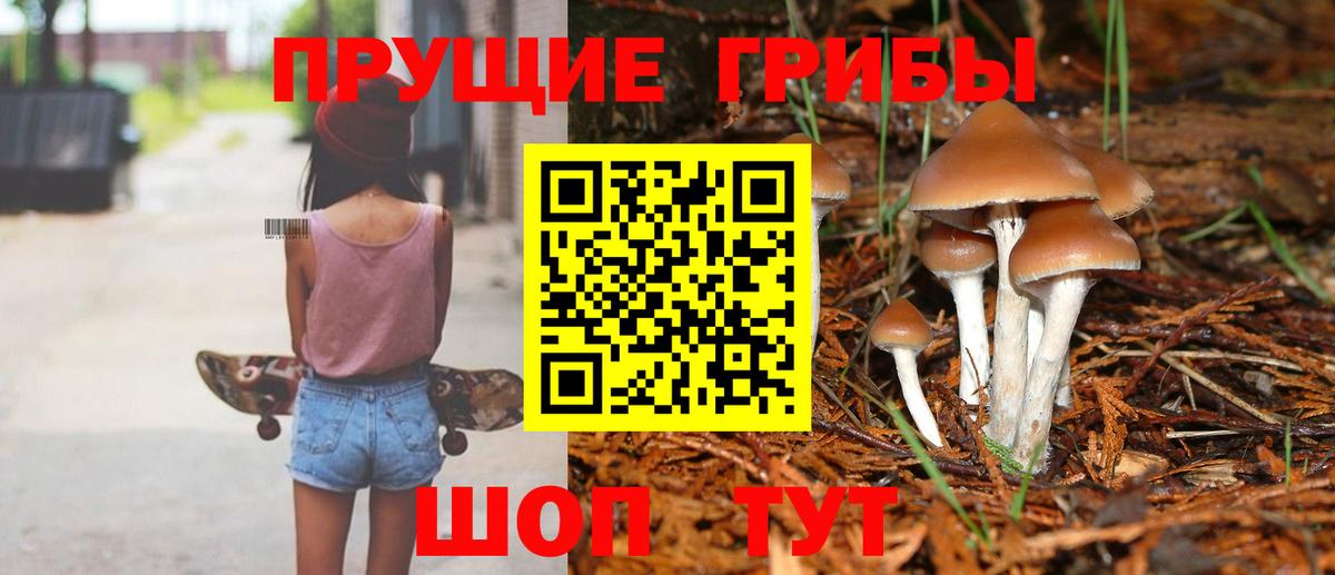Псилоцибиновые грибы мицелий  Вход с VPN  Алатырь  как найти закладки  Псилоцибиновые грибы ЛСД 