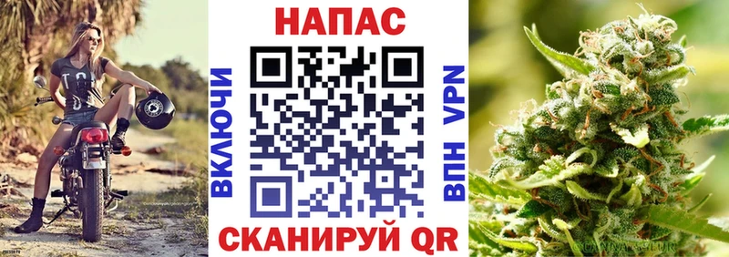 Конопля White Widow Алатырь